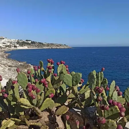 Stella Maris マリッティマ